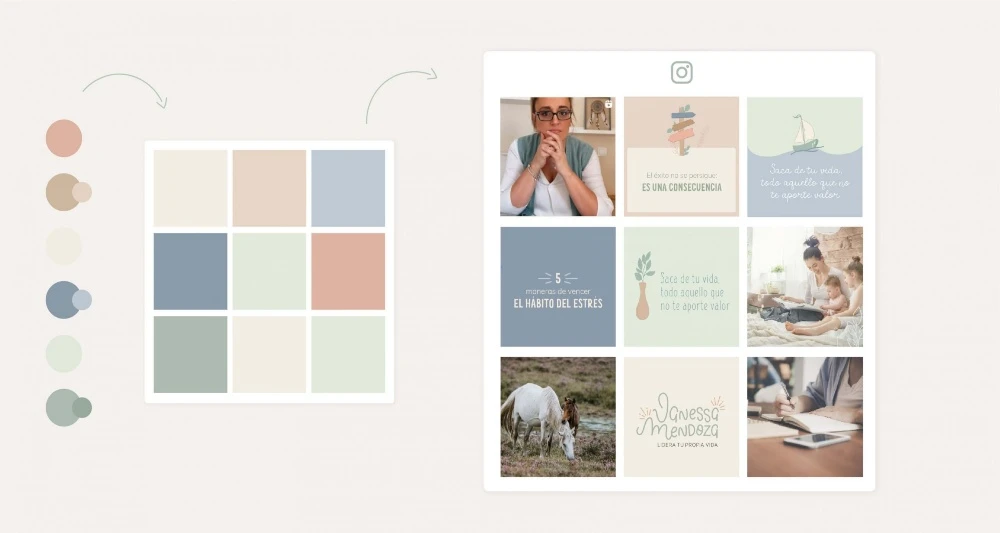 dar conocer negocio instagram feed organizado