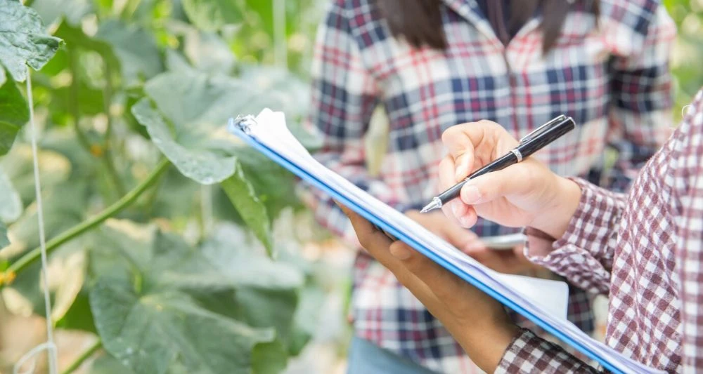 factoring sector agricola soluciones financieras chapacash